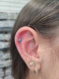 Tulip Turquoise Studs