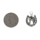 Horseshoe with Horse