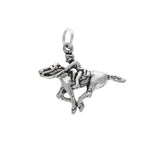 Racehorse Charm