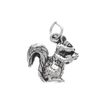 Squirrel Charm