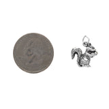 Squirrel Charm