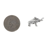 Elephant Charm
