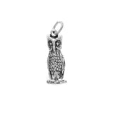 Owl Charm