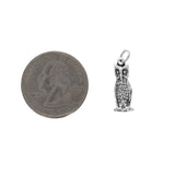 Owl Charm