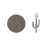 Cactus Charm