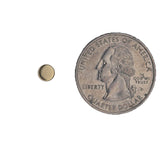 14KT Gold Disc Studs