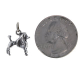 Poodle Charm