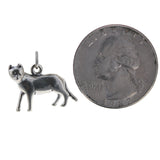 Sleek Cat Charm