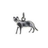 Sleek Cat Charm