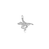 Racehorse Charm