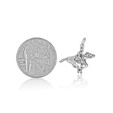 Racehorse Charm