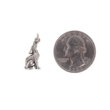 Howling Coyote Charm