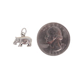 Hippopotamus Charm