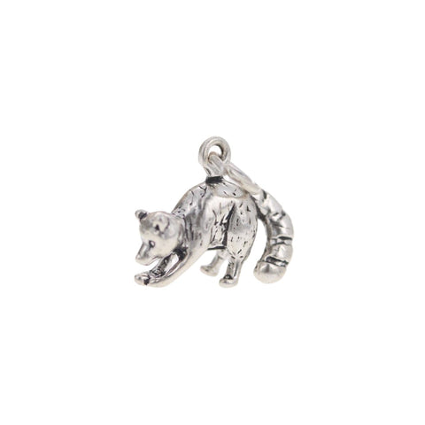 Raccoon Charm