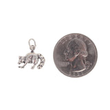 Raccoon Charm