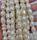 Rice Shape Large Hole Pearls